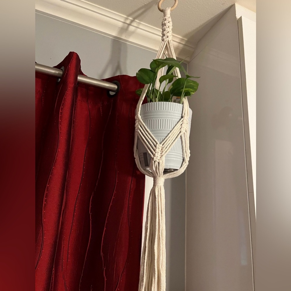 Cream Macramé plant holder - Picture 2 of 8